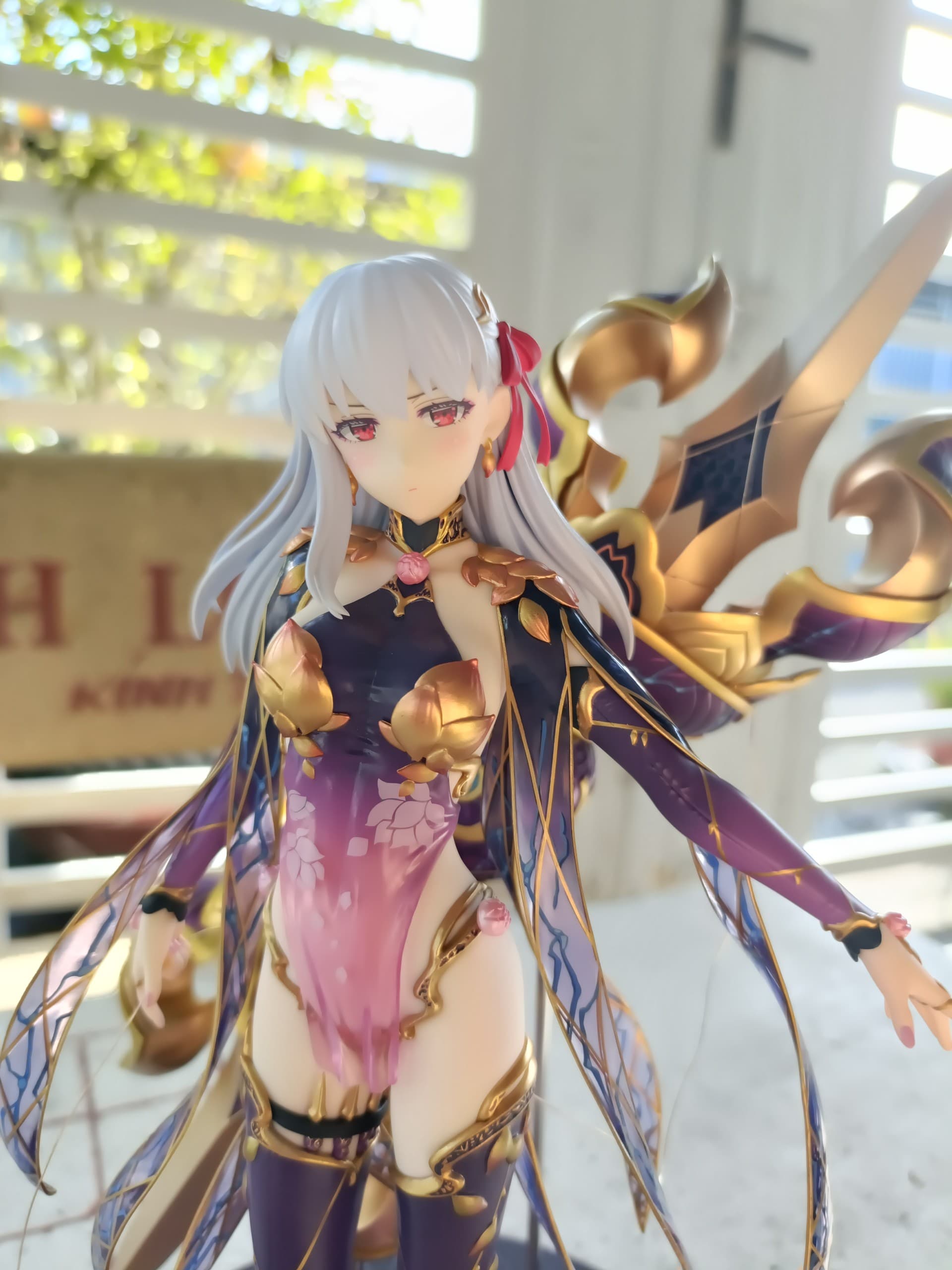 Collector figure photo by PhuocLocLe