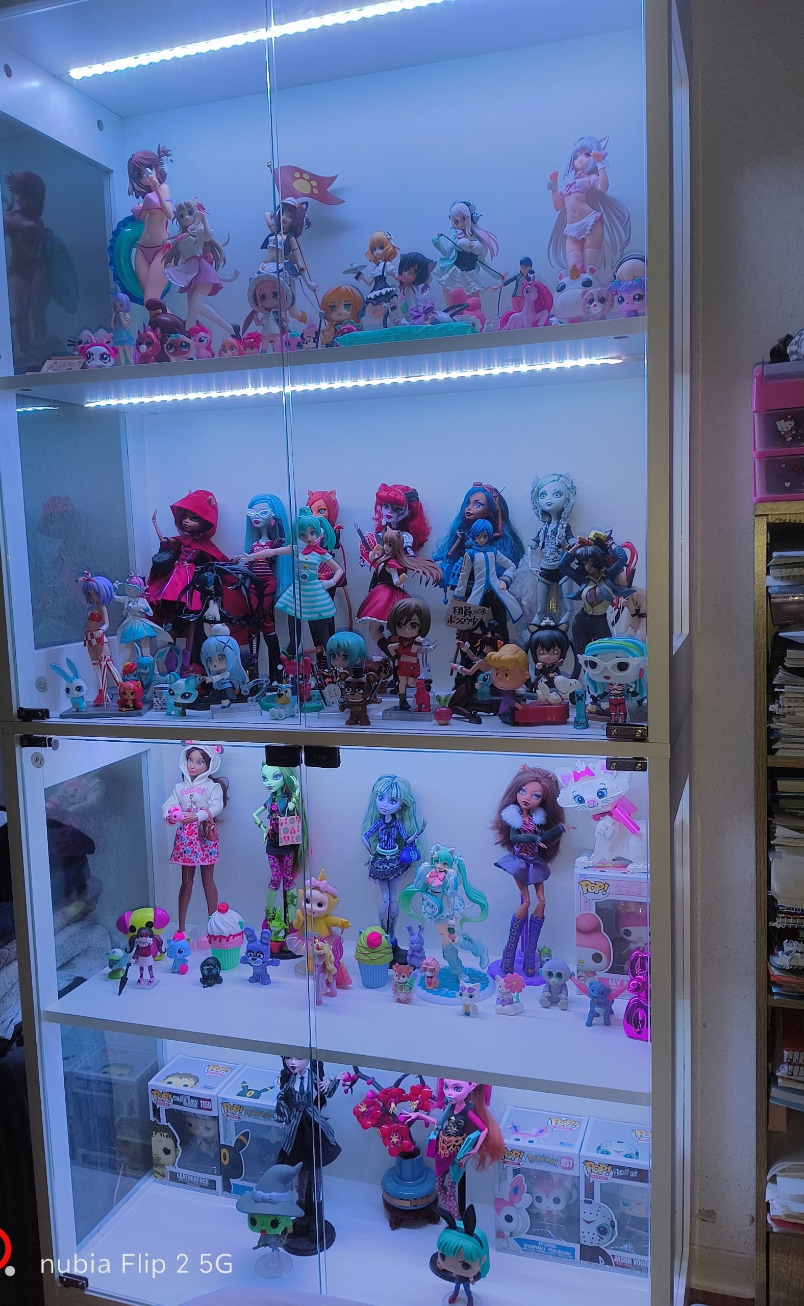 Collector figure photo by Nat