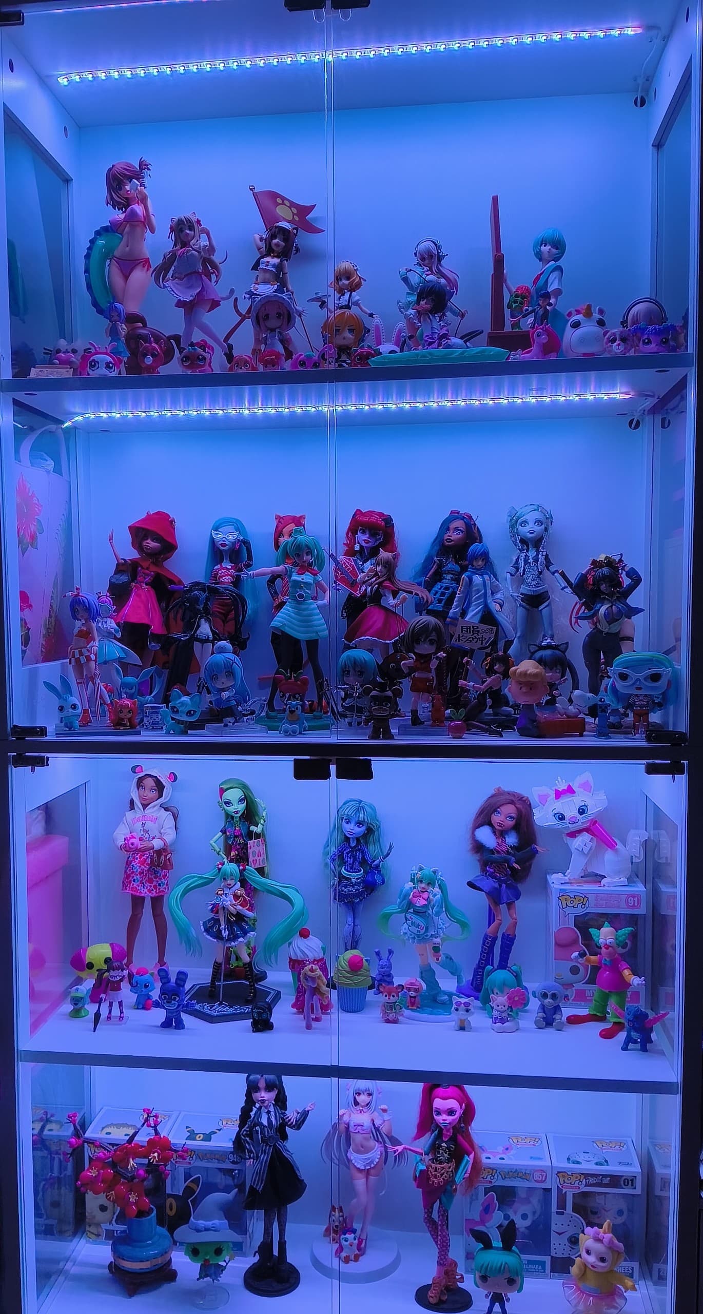 𝑼𝒑𝒅𝒂𝒕𝒆𝒅 𝒔𝒆𝒕𝒖𝒑 ૮⍝• ᴥ •⍝ა, collector photo by Nat