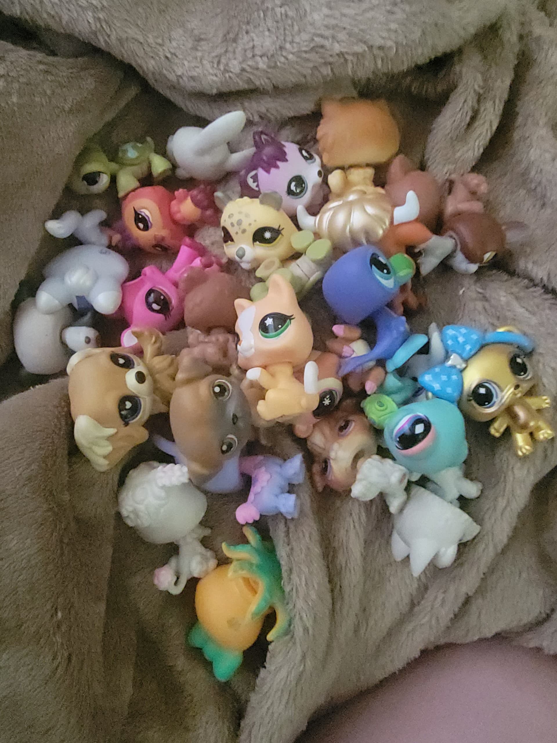collection pics!!!, collector photo by pawpilledd, photo 9 of 10