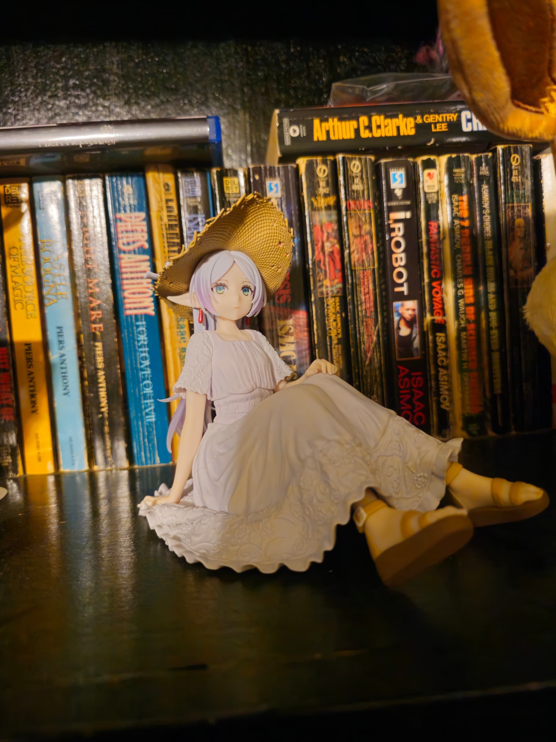 My Collection, collector photo by whiteblood