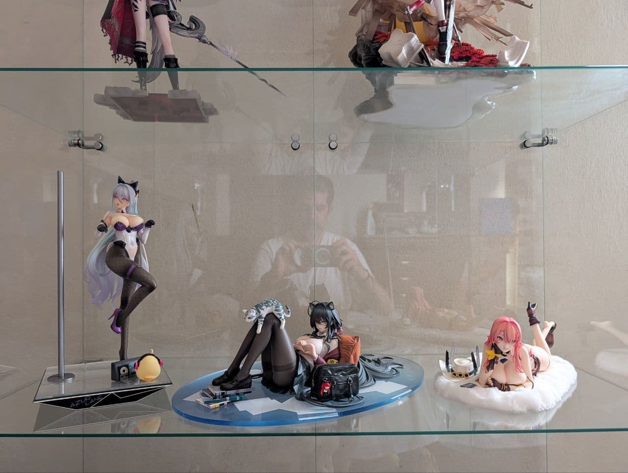 Collector figure photo by Aznable85