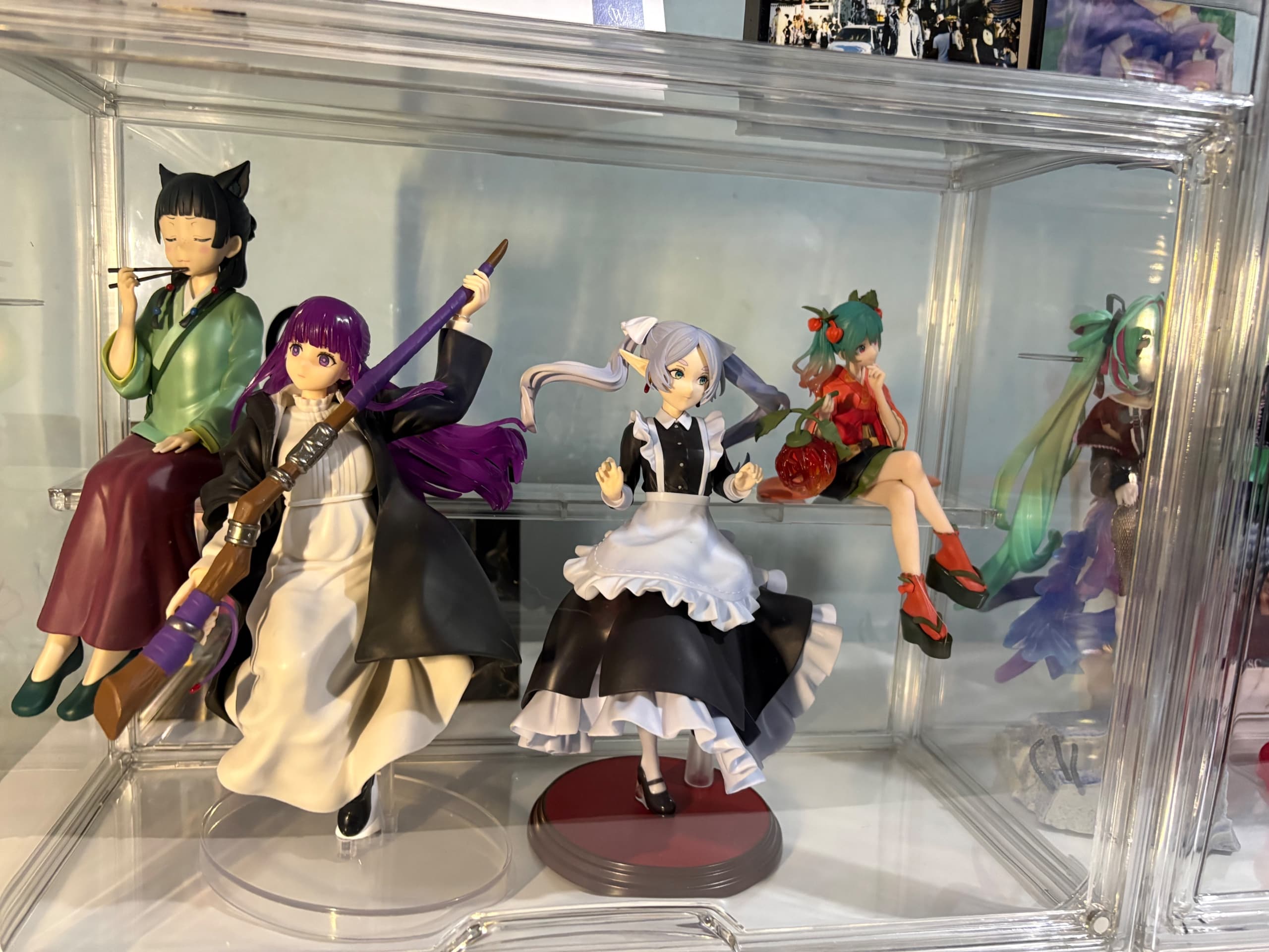 My Collection, collector photo by Shippgod36