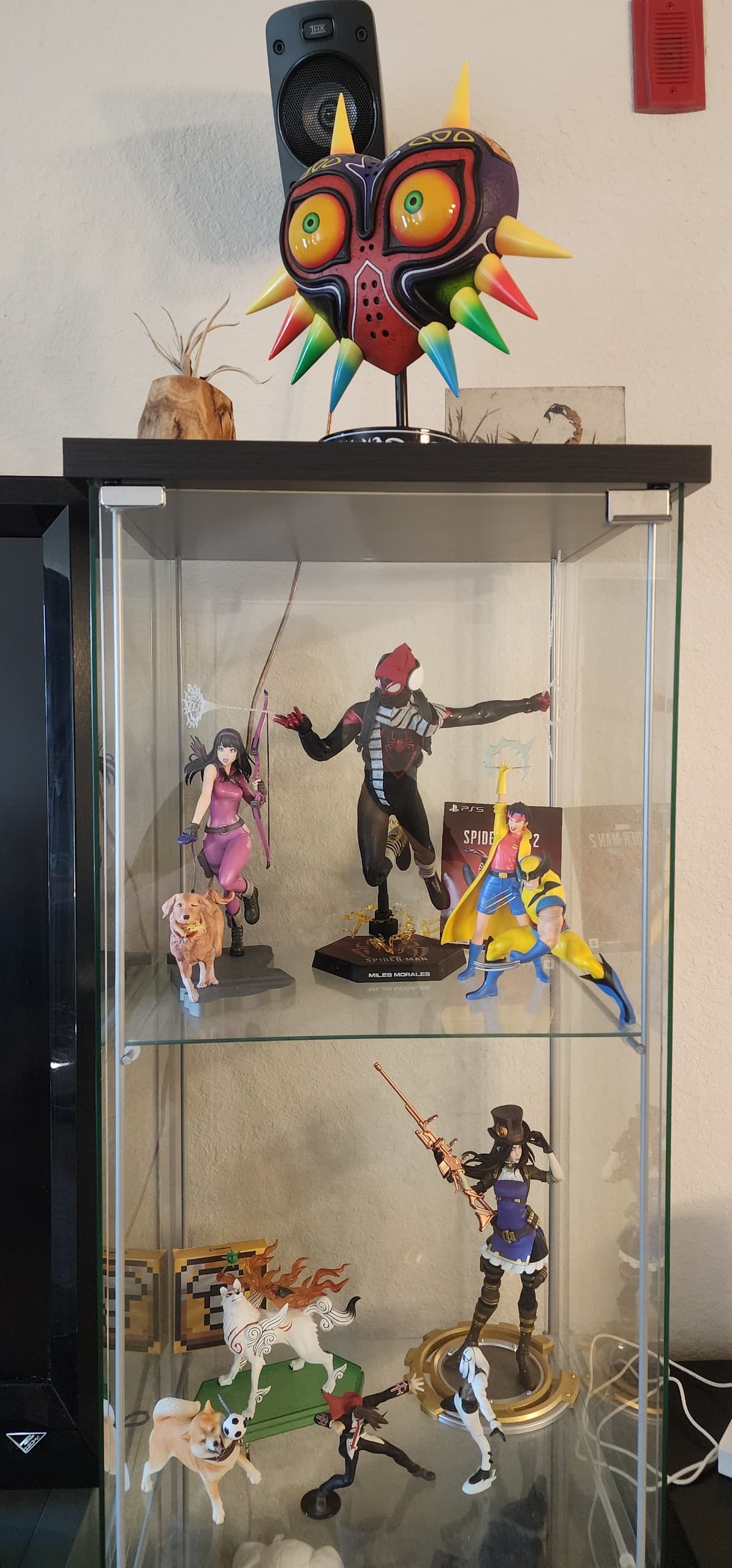 My Collection, collector photo by Silasa00, photo 6 of 11