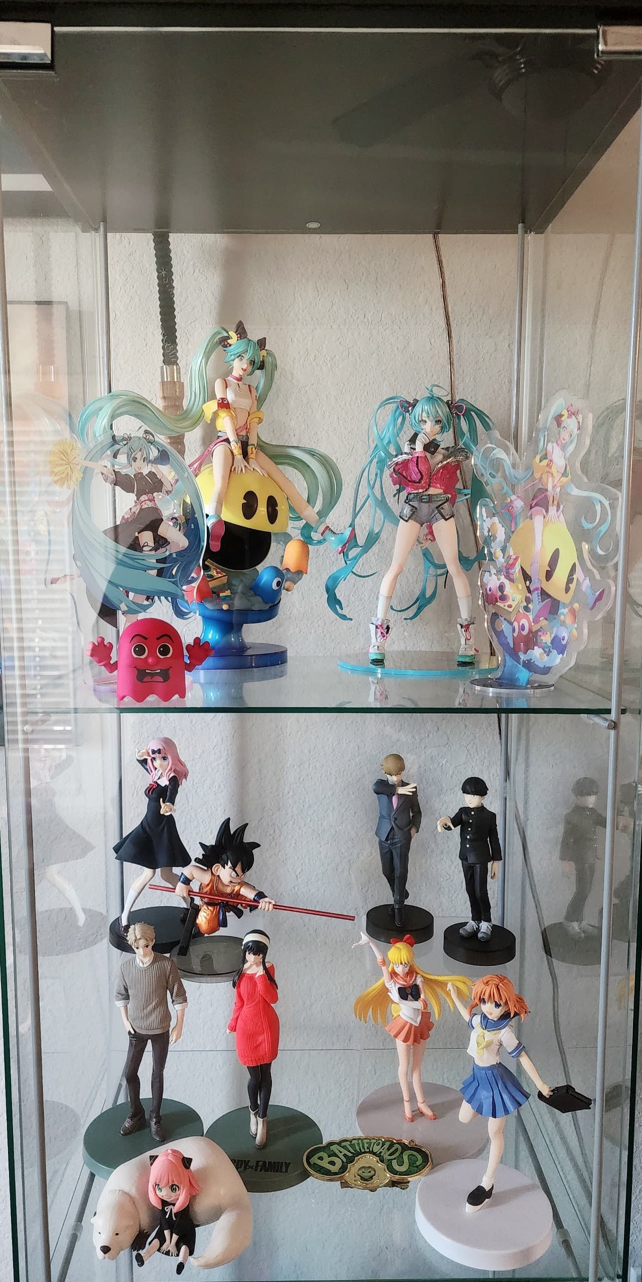 My Collection, collector photo by Silasa00, photo 5 of 11