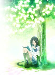 Boku Girl