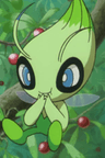 Celebi