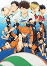 Haikyuu series artwork