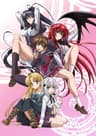 High School D×D series artwork