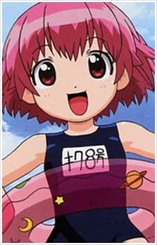 Kiku No. 8