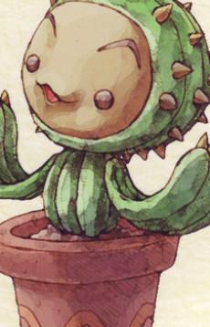 Li'l Cactus