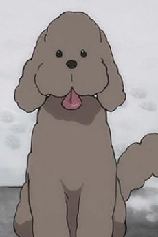 Makkachin