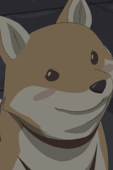 Mameshiba