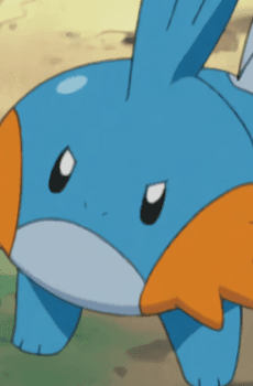 Mudkip
