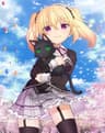 Nora to Oujo to Noraneko Heart series artwork