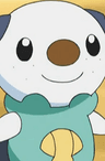Oshawott