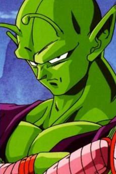 Piccolo Jr.