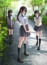 Seiren series artwork