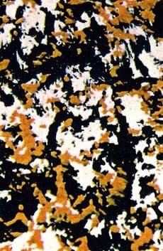 Shinkisai V