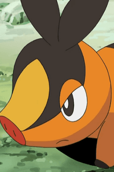 Tepig