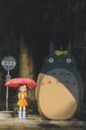 Tonari no Totoro series artwork