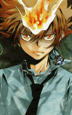 Tsunayoshi Sawada