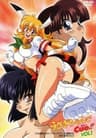 Usagi-chan de Cue! series artwork