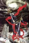 X series artwork