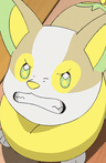 Yamper