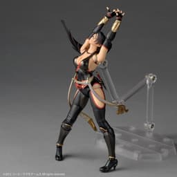 Revoltech Amazing Yamaguchi " NINJA GAIDEN 3: Razor's Edge" Momiji, view 3 of 14
