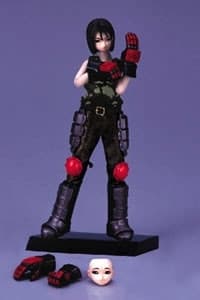 Shiritsu Justice Gakuen: Legion of Heroes - Kazama Akira - Capcom Queens (09) - Tsunagi Ver.