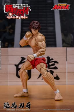 figure