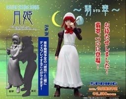 Tsukihime - Hisui - Deluxe Figure Series (07)