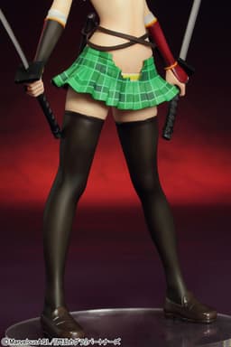 Senran Kagura - Asuka -Damage ver.- 1/7 Complete Figure, view 10 of 15