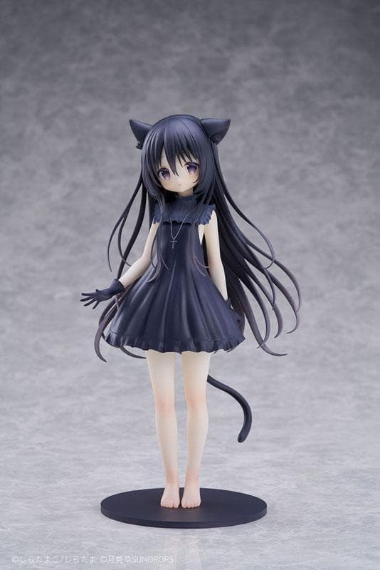 "Hoshizora Tetsudou to Shiro no Tabi" Noir 1/7 Complete Figure