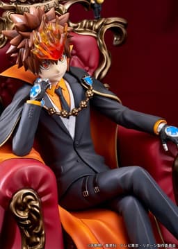 TV Anime "Reborn!" Tsunayoshi Sawada & Reborn Complete Figure, view 13 of 16