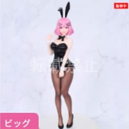 Watashi ga Koibito ni Nareru Wakenaijan, Muri Muri! (*Muri Janakatta!?) - Amaori Renako - Vivit Figure - Bunny
