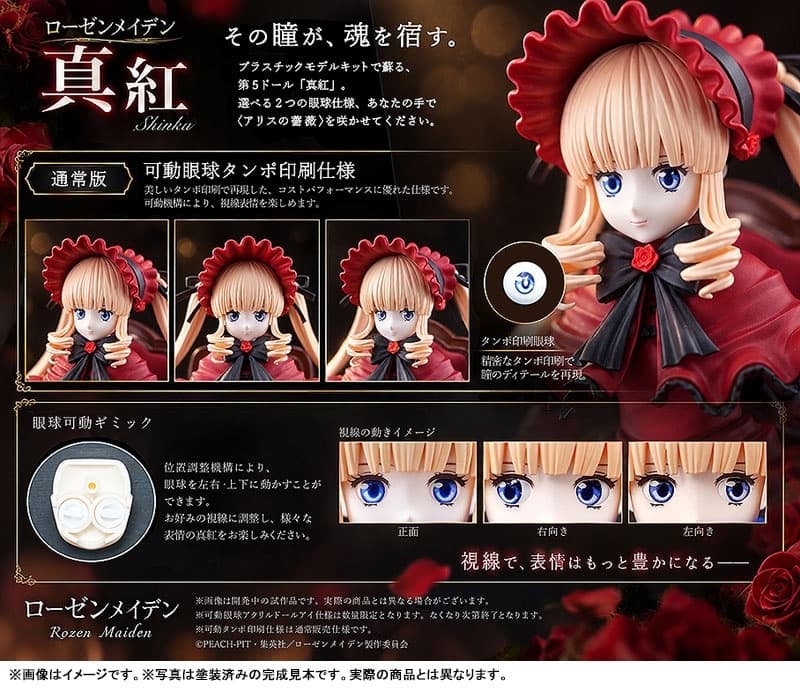 Rozen Maiden Shinku Articulated Plastic Model Kit (Standard Version), view 10 of 10