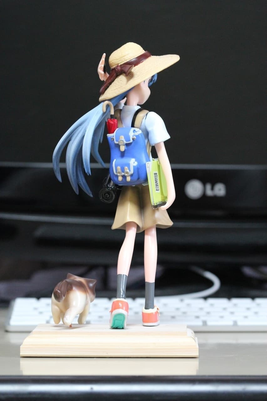 figure