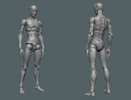 figure