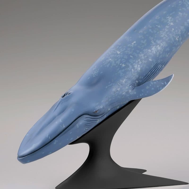 Blue Whale National Museum of Nature and Science Permanent Exhibition (Outdoor Exhibit) Complete Figure, view 6 of 6