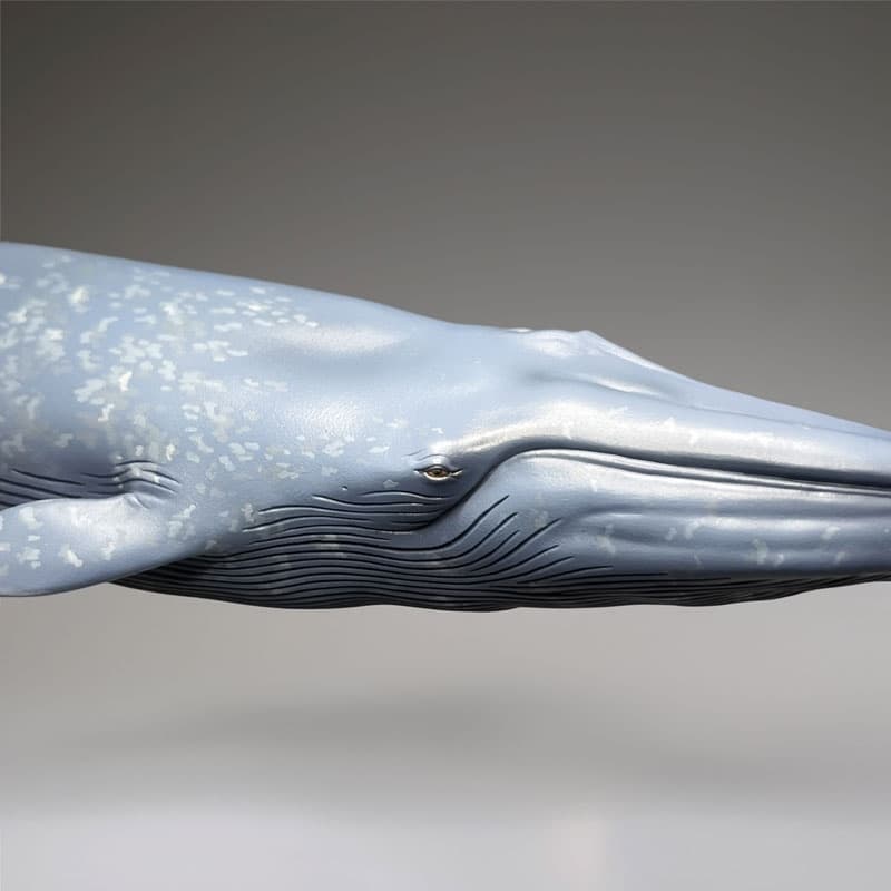 Blue Whale National Museum of Nature and Science Permanent Exhibition (Outdoor Exhibit) Complete Figure, view 3 of 6