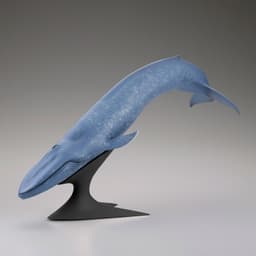 Blue Whale National Museum of Nature and Science Permanent Exhibition (Outdoor Exhibit) Complete Figure, view 6 of 7