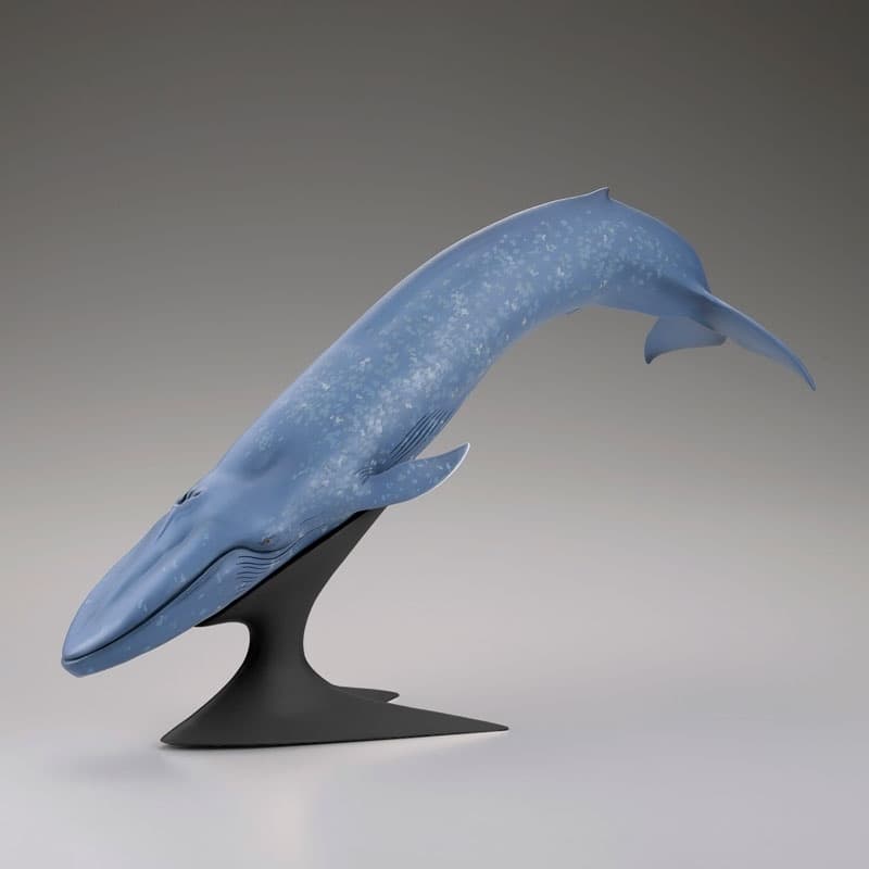 Blue Whale National Museum of Nature and Science Permanent Exhibition (Outdoor Exhibit) Complete Figure, view 5 of 6