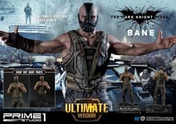 The Dark Knight Rises - Bane - Museum Masterline Series (MMTDKR-03UT) - 1/3, view 25 of 25