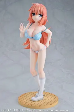 TV Anime "Seitokai ni mo Ana wa Aru!" Re Dress Komaro Michinoku 1/4 P.E. Uniform Ver. Complete Figure, view 20 of 22