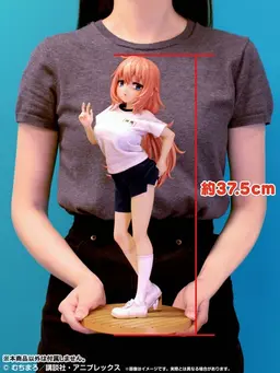 TV Anime "Seitokai ni mo Ana wa Aru!" Re Dress Komaro Michinoku 1/4 P.E. Uniform Ver. Complete Figure, view 22 of 22