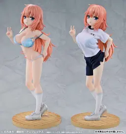 TV Anime "Seitokai ni mo Ana wa Aru!" Re Dress Komaro Michinoku 1/4 P.E. Uniform Ver. Complete Figure, view 1 of 22
