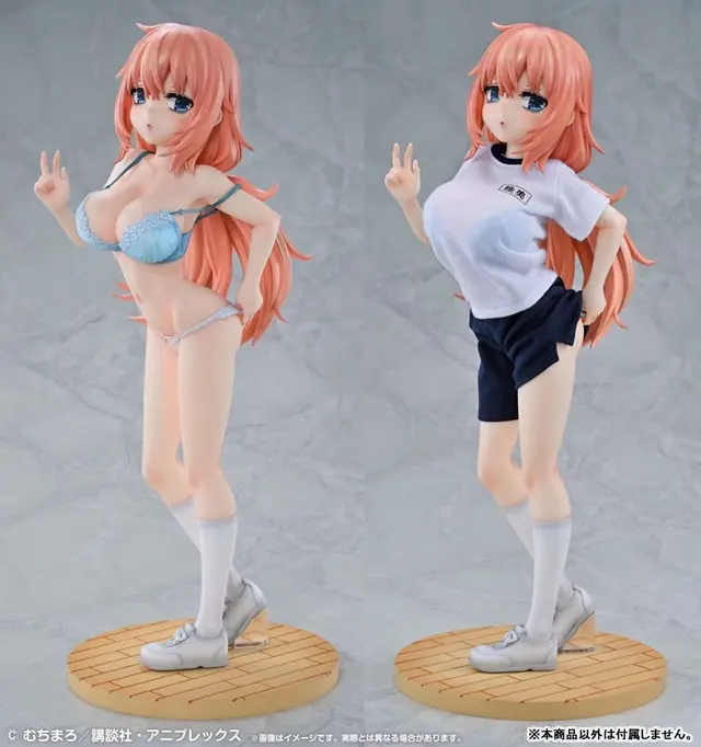 TV Anime "Seitokai ni mo Ana wa Aru!" Re Dress Komaro Michinoku 1/4 P.E. Uniform Ver. Complete Figure