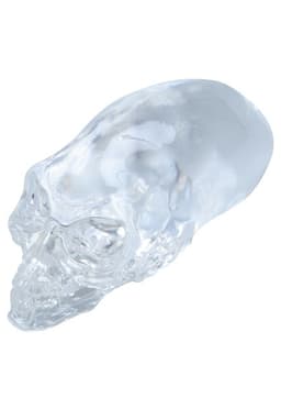 Indiana Jones - Real Action Heroes (400) - 1/6 - Kingdom of the Crystal Skull, view 3 of 7